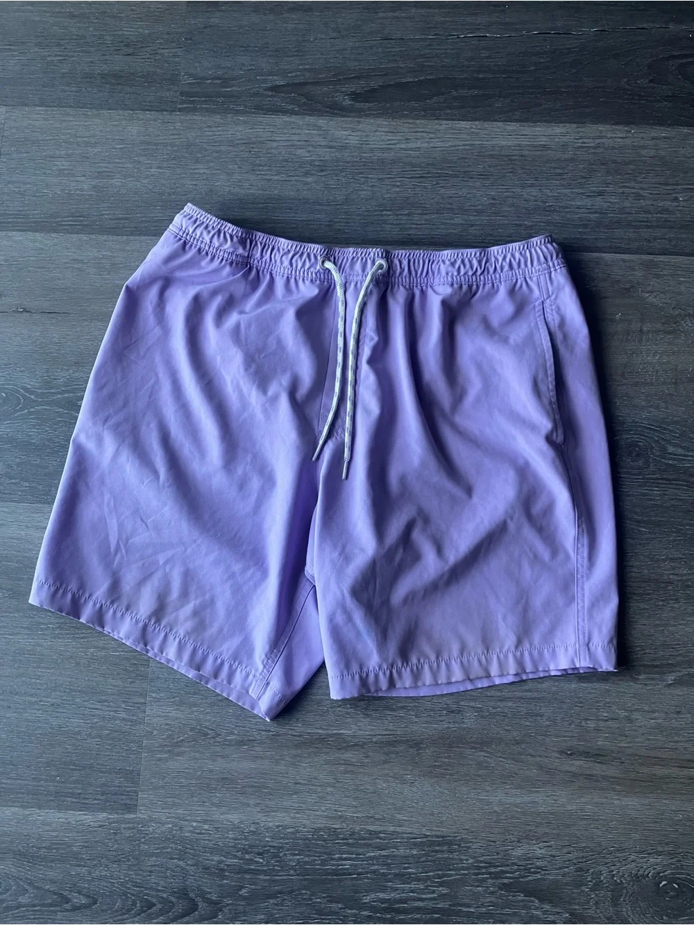 GAP Men's Lavender Swim Trunks